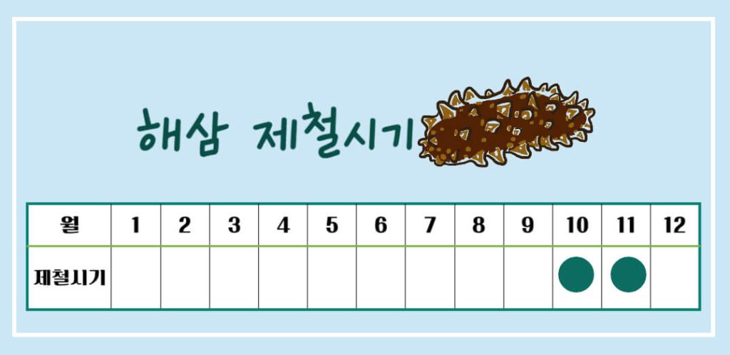 해삼 효능 7가지, 칼로리 알아보기 : 바다의 인삼(feat. 부작용)