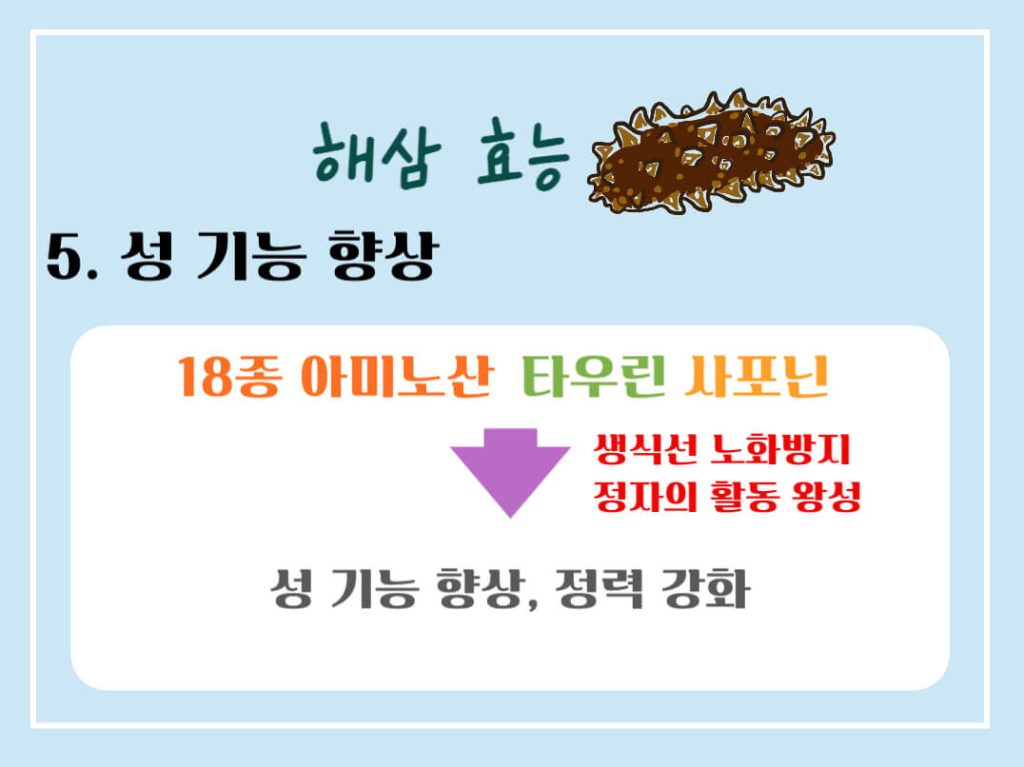 해삼 효능 7가지, 칼로리 알아보기 : 바다의 인삼(feat. 부작용)