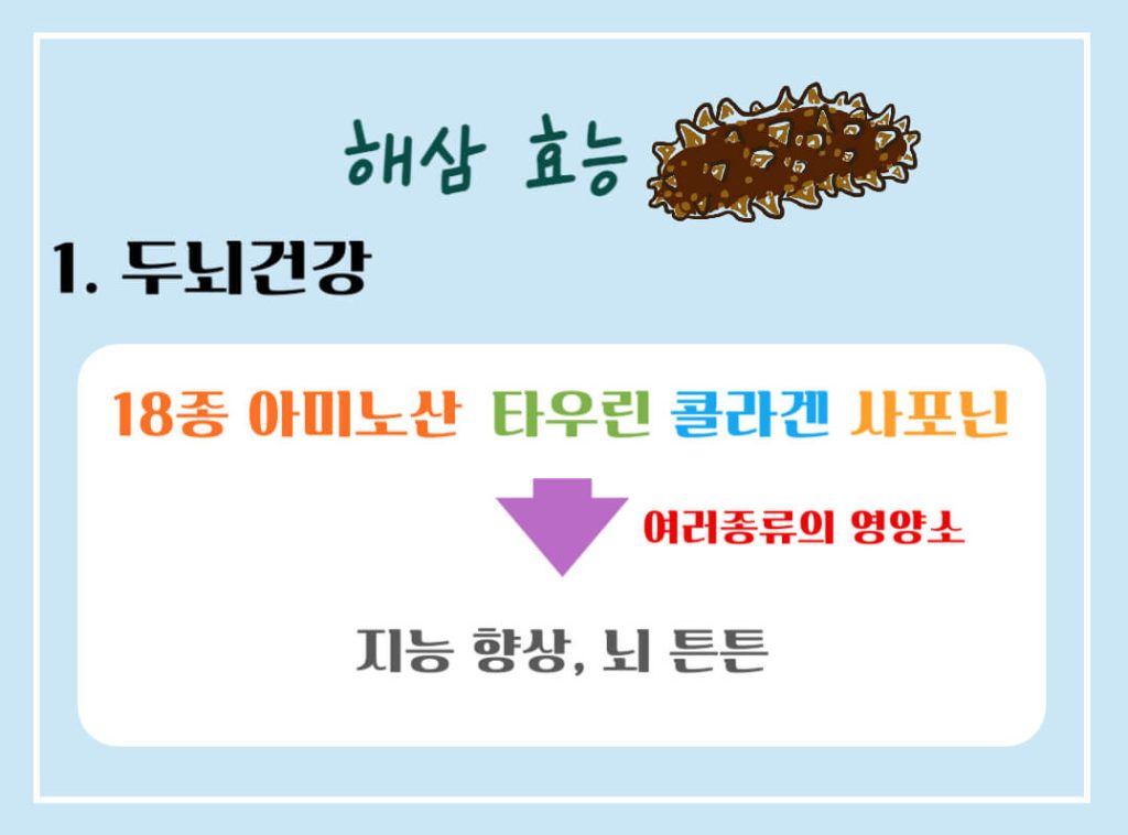 해삼 효능 7가지, 칼로리 알아보기 : 바다의 인삼(feat. 부작용)