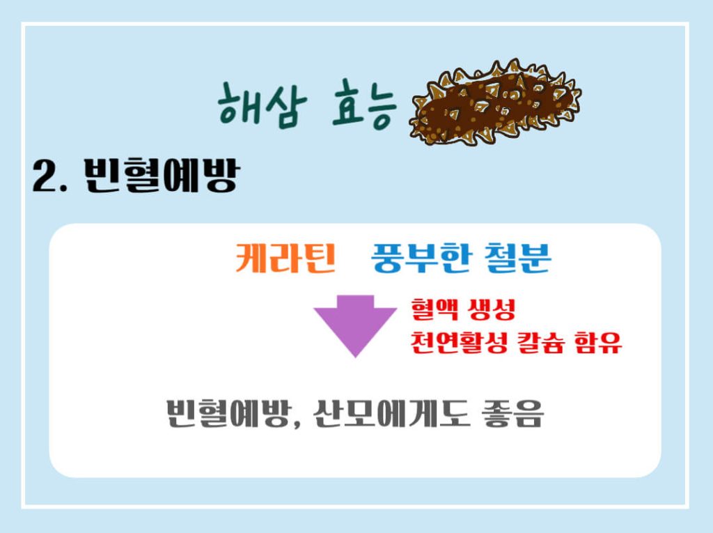 해삼 효능 7가지, 칼로리 알아보기 : 바다의 인삼(feat. 부작용)