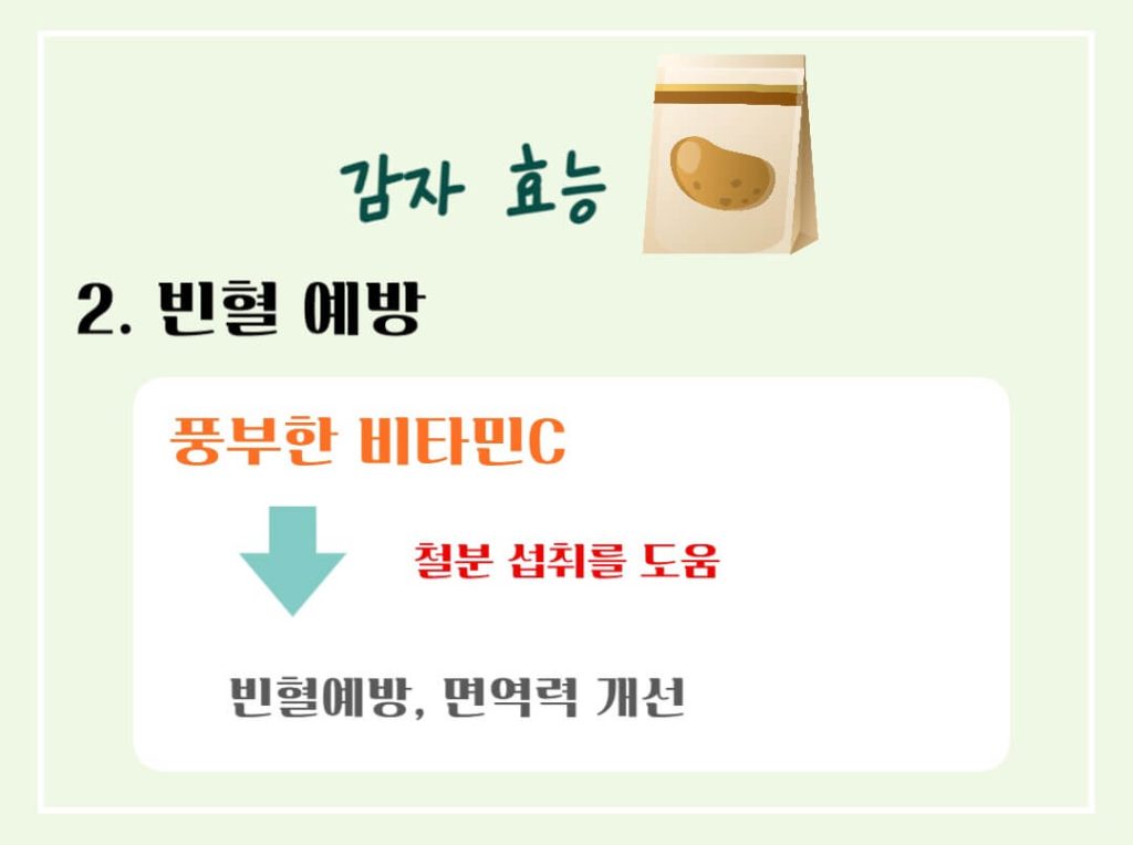 감자 효능 칼로리 알아보기 : 세계 4대 전분 작물(feat. 다이어트)