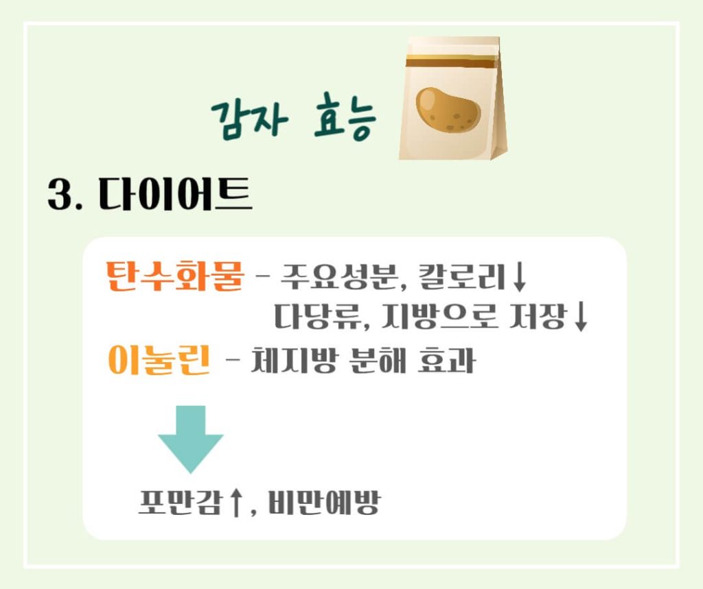 감자 효능 칼로리 알아보기 : 세계 4대 전분 작물(feat. 다이어트)