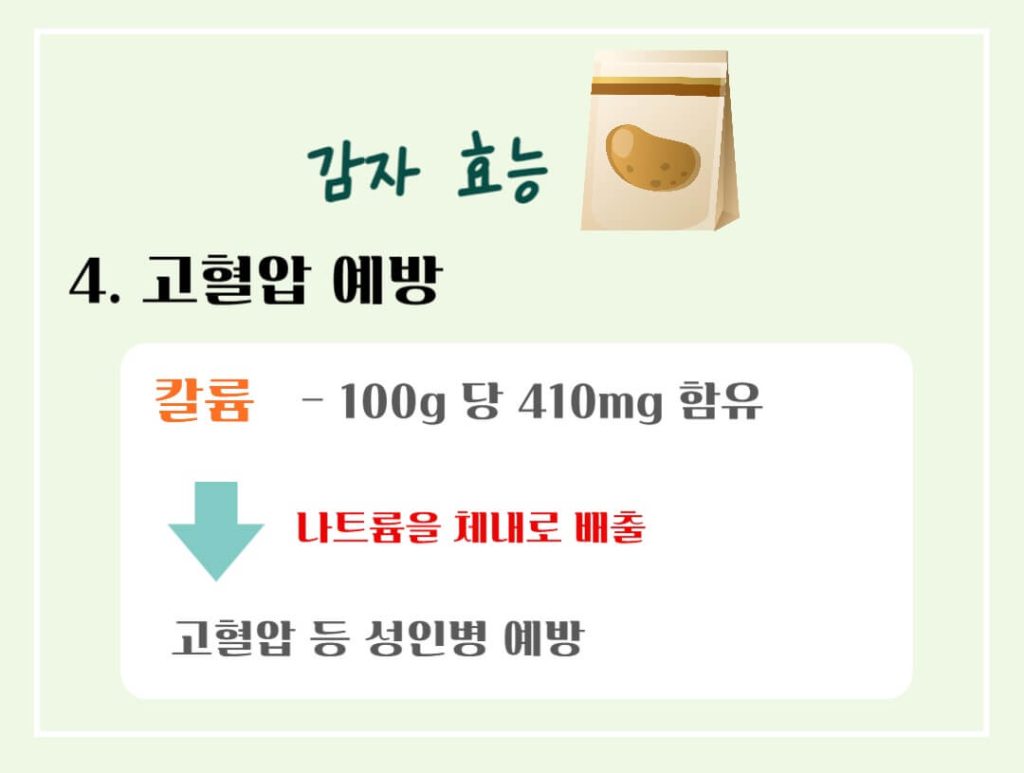 감자 효능 칼로리 알아보기 : 세계 4대 전분 작물(feat. 다이어트)