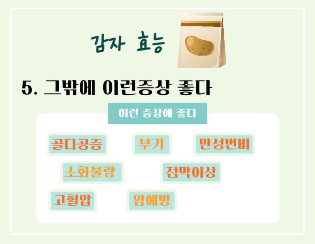 감자 효능 칼로리 알아보기 : 세계 4대 전분 작물(feat. 다이어트)