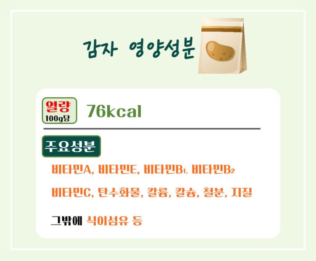 감자 효능 칼로리 알아보기 : 세계 4대 전분 작물(feat. 다이어트)