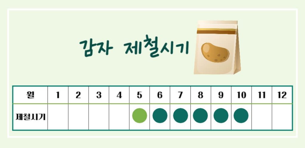 감자 효능 칼로리 알아보기 : 세계 4대 전분 작물(feat. 다이어트)
