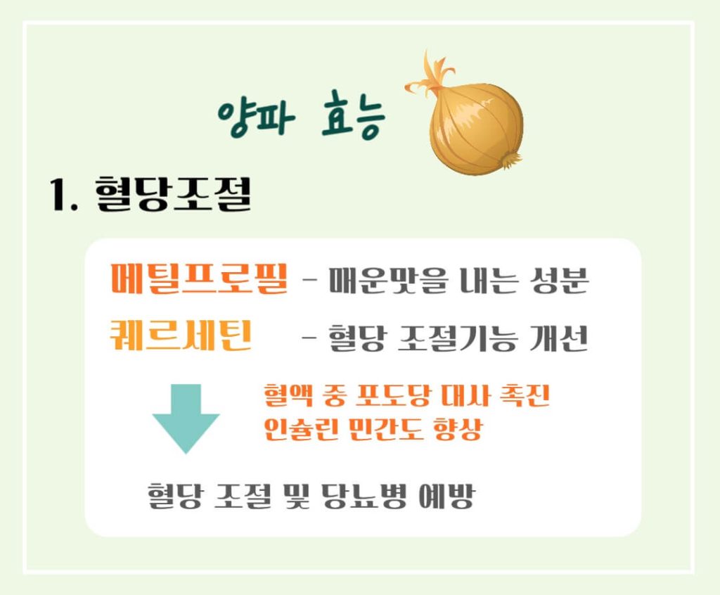 양파 효능 칼로리 알아보기 : 식탁위의 불로초(feat. 혈당조절)