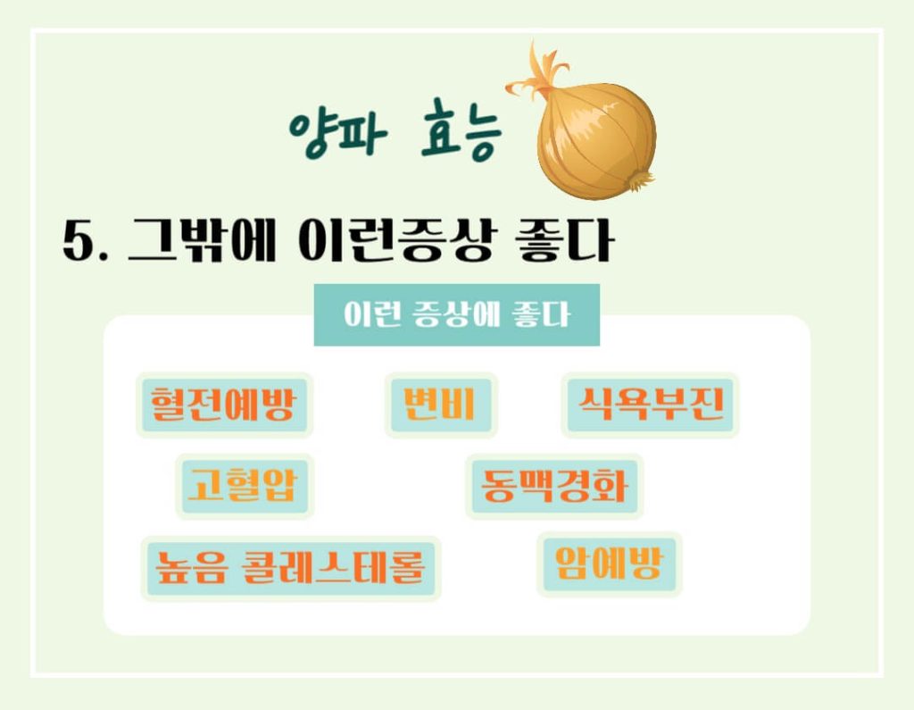 양파 효능 칼로리 알아보기 : 식탁위의 불로초(feat. 혈당조절)