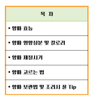 양파 효능 칼로리 알아보기 : 식탁위의 불로초(feat. 혈당조절)