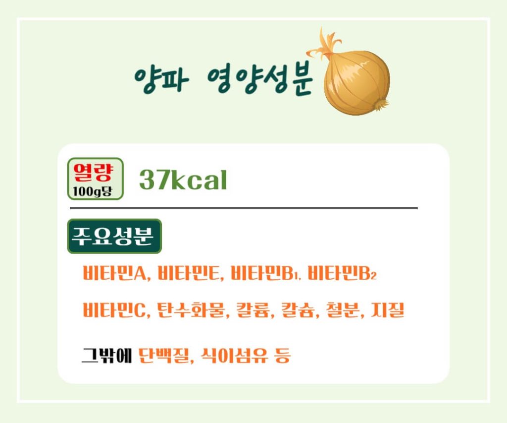 양파 효능 칼로리 알아보기 : 식탁위의 불로초(feat. 혈당조절)
