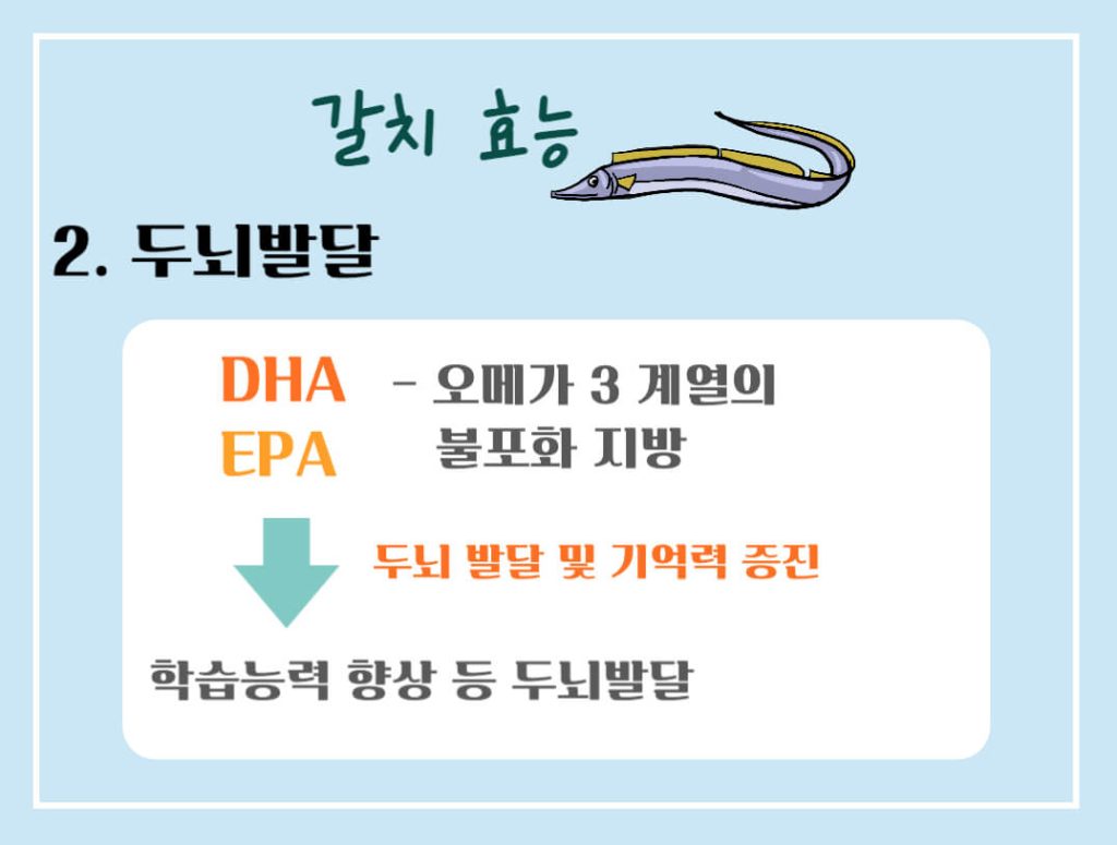 갈치 효능 칼로리 알아보기 : 10월의 제철생선(feat. 국민생선)