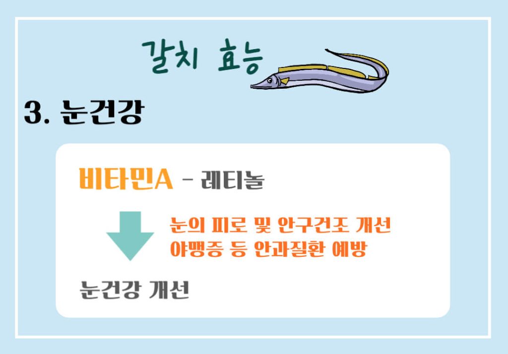 갈치 효능 칼로리 알아보기 : 10월의 제철생선(feat. 국민생선)