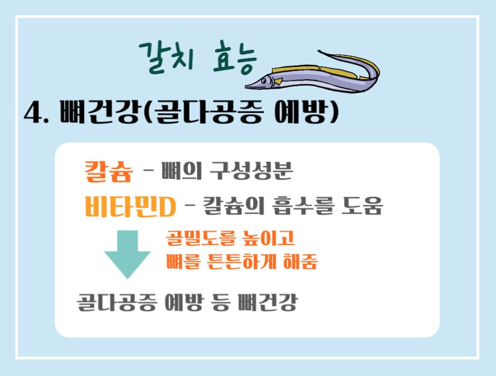 갈치 효능 칼로리 알아보기 : 10월의 제철생선(feat. 국민생선)