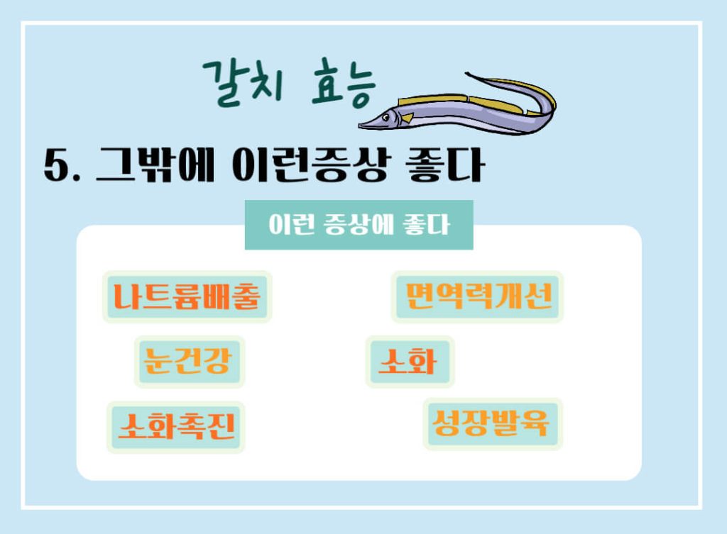 갈치 효능 칼로리 알아보기 : 10월의 제철생선(feat. 국민생선)