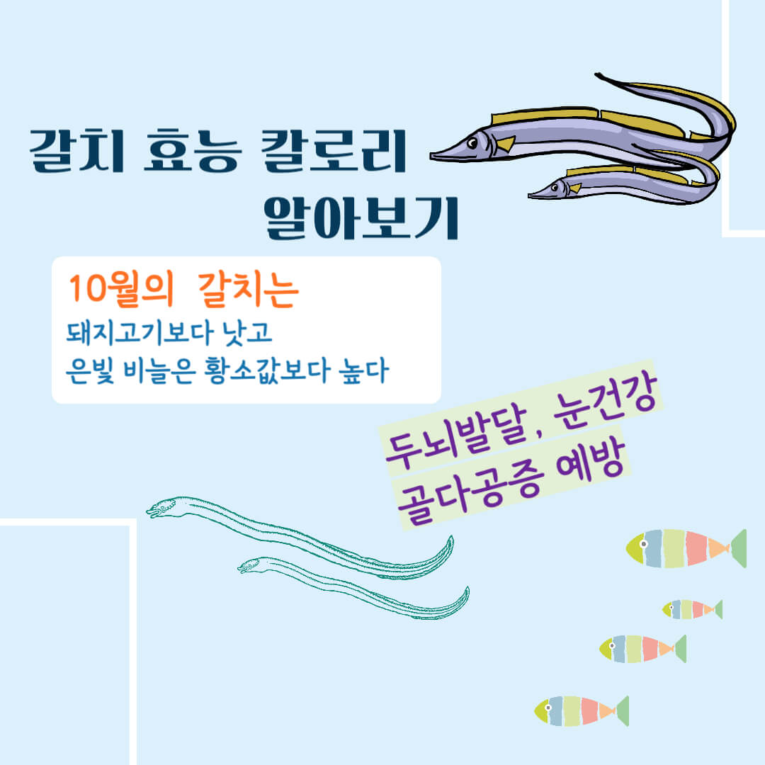 갈치 효능 칼로리 알아보기 : 10월의 제철생선(feat. 국민생선)