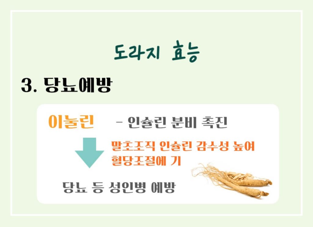 도라지 효능 칼로리 알아보기 : 좋은 도라지 고르는 법(feat. 기관지 건강)