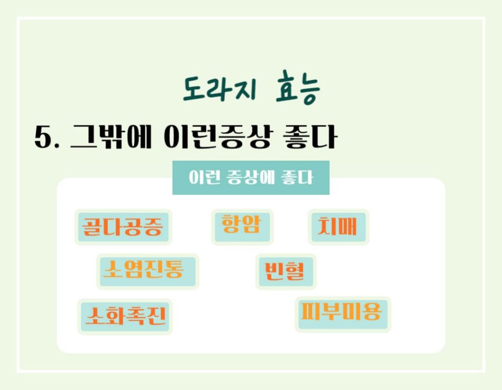 도라지 효능 칼로리 알아보기 : 좋은 도라지 고르는 법(feat. 기관지 건강)