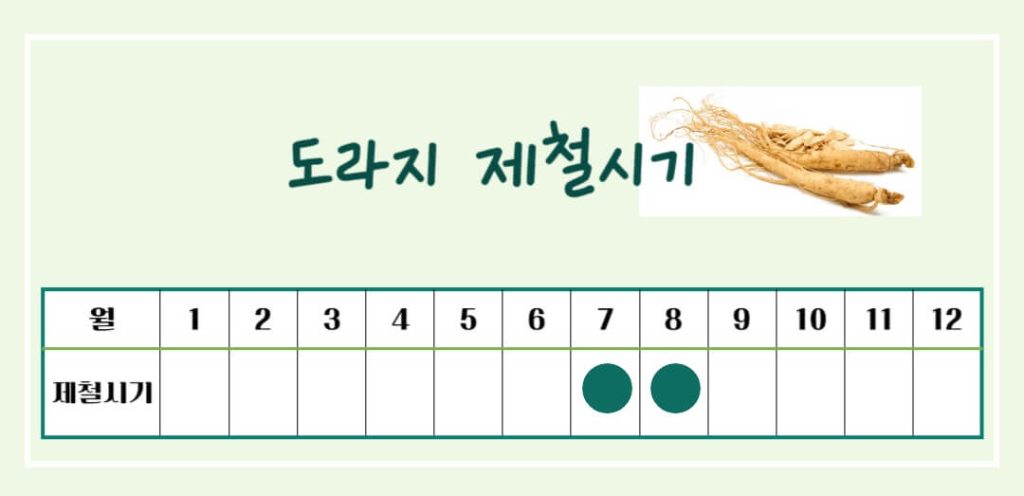 도라지 효능 칼로리 알아보기 : 좋은 도라지 고르는 법(feat. 기관지 건강)