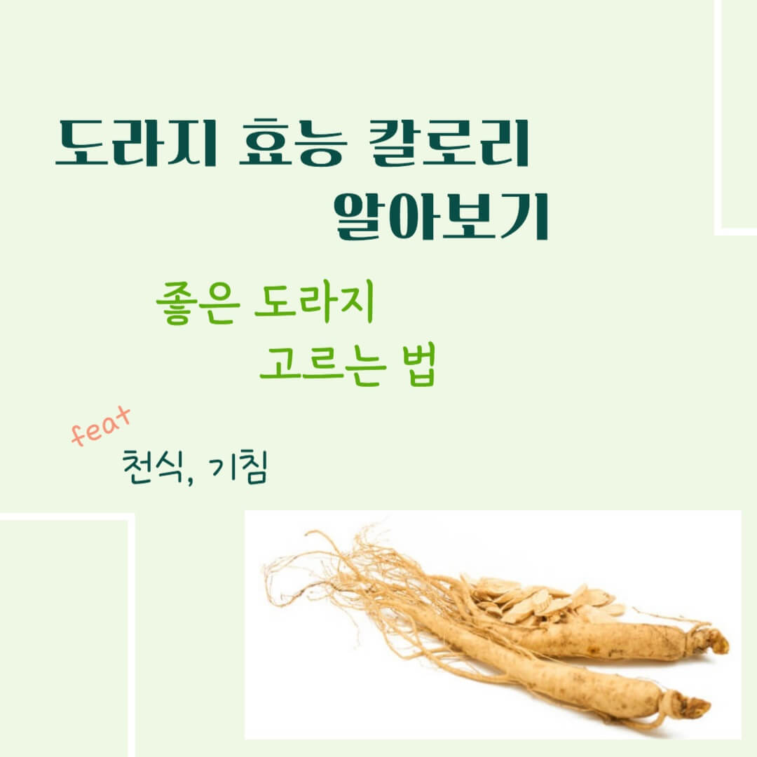 도라지 효능 칼로리 알아보기 : 좋은 도라지 고르는 법(feat. 기관지 건강)