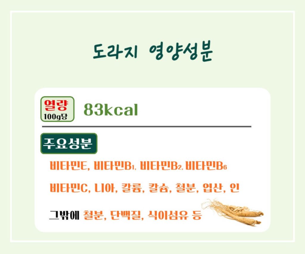 도라지 효능 칼로리 알아보기 : 좋은 도라지 고르는 법(feat. 기관지 건강)