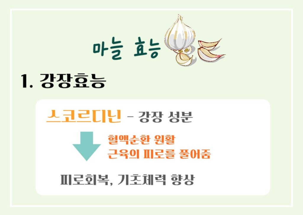 마늘 효능 칼로리 알아보기 : 세계 10대 건강식품(feat. 일해백리)