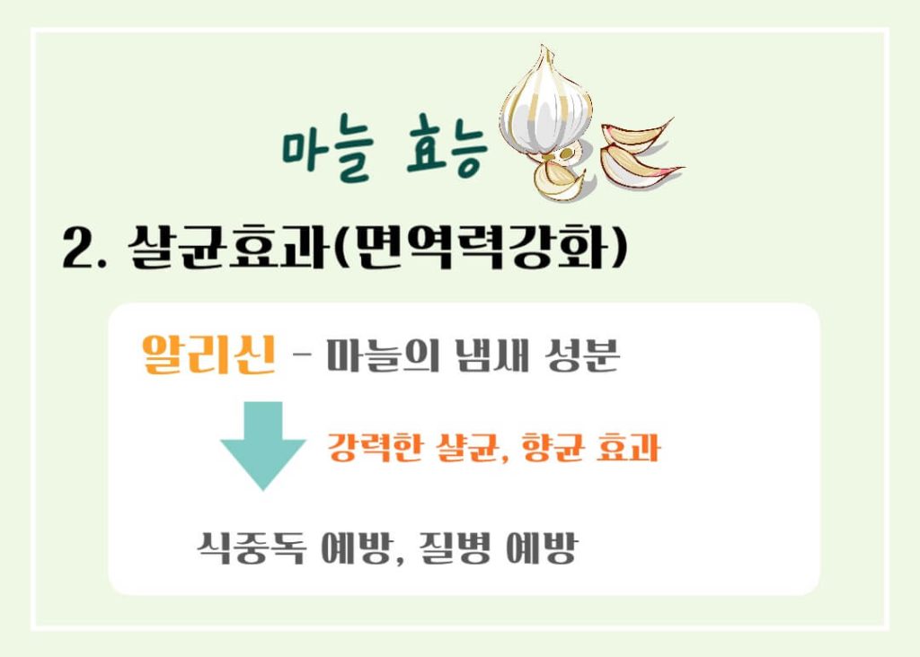 마늘 효능 칼로리 알아보기 : 세계 10대 건강식품(feat. 일해백리)