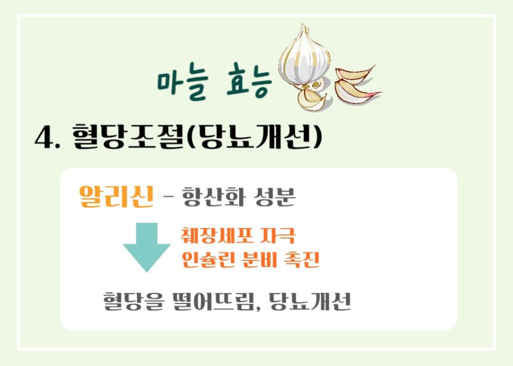 마늘 효능 칼로리 알아보기 : 세계 10대 건강식품(feat. 일해백리)