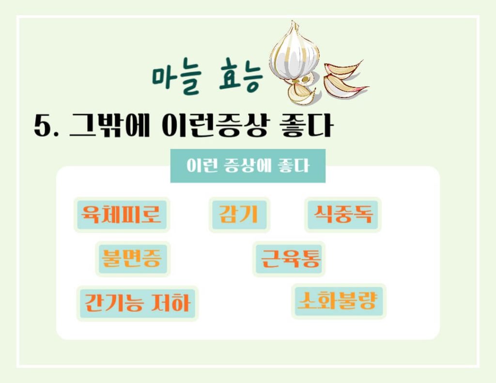 마늘 효능 칼로리 알아보기 : 세계 10대 건강식품(feat. 일해백리)