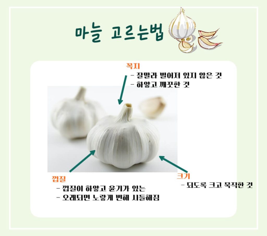 마늘 효능 칼로리 알아보기 : 세계 10대 건강식품(feat. 일해백리)