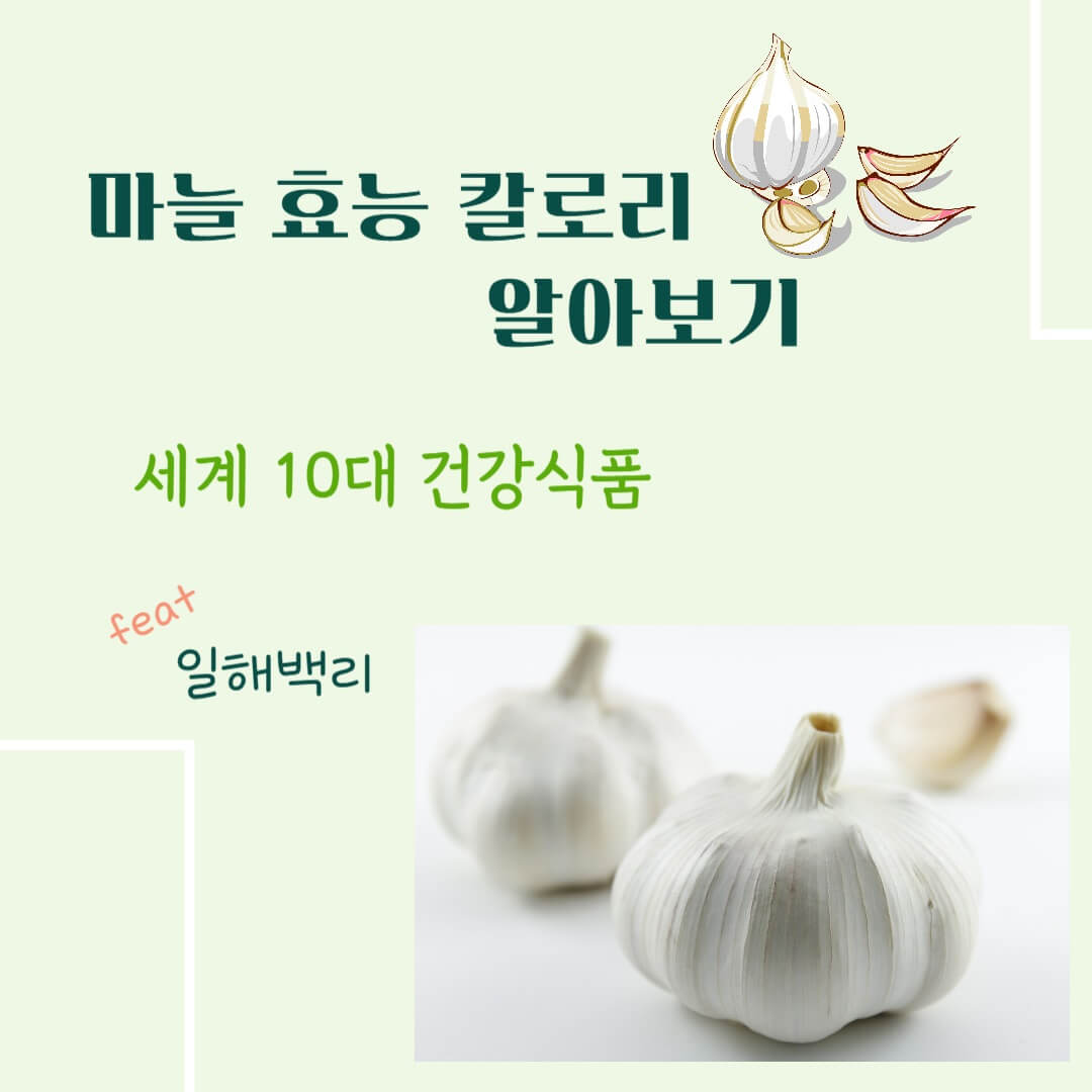 마늘 효능 칼로리 알아보기 : 세계 10대 건강식품(feat. 일해백리)