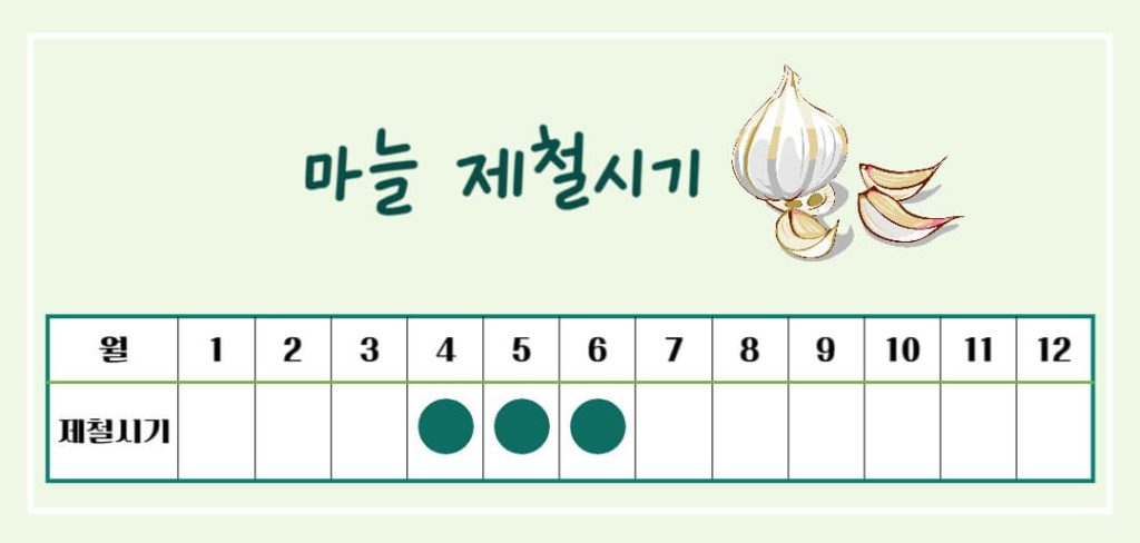 마늘 효능 칼로리 알아보기 : 세계 10대 건강식품(feat. 일해백리)