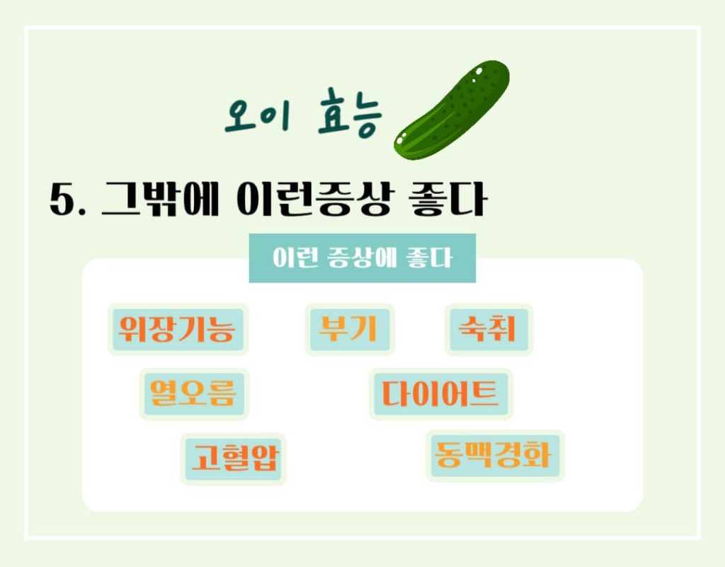 오이 효능 칼로리 알아보기 : 여름철 더위에 좋은 음식(feat. 다이어트)
