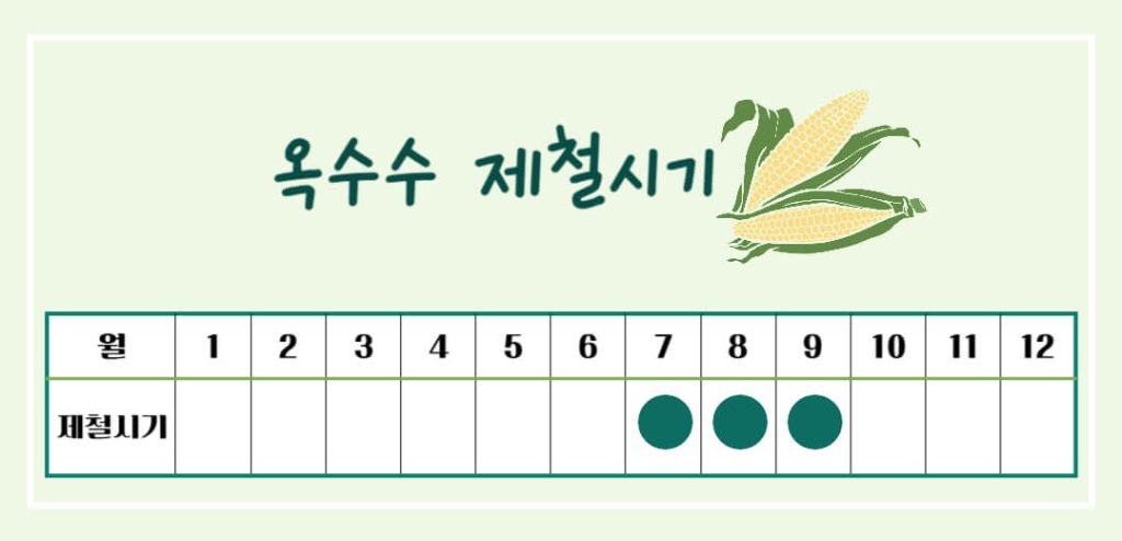 옥수수 효능 칼로리 알아보기 : 세계 3대 작물(feat. 다이어트)