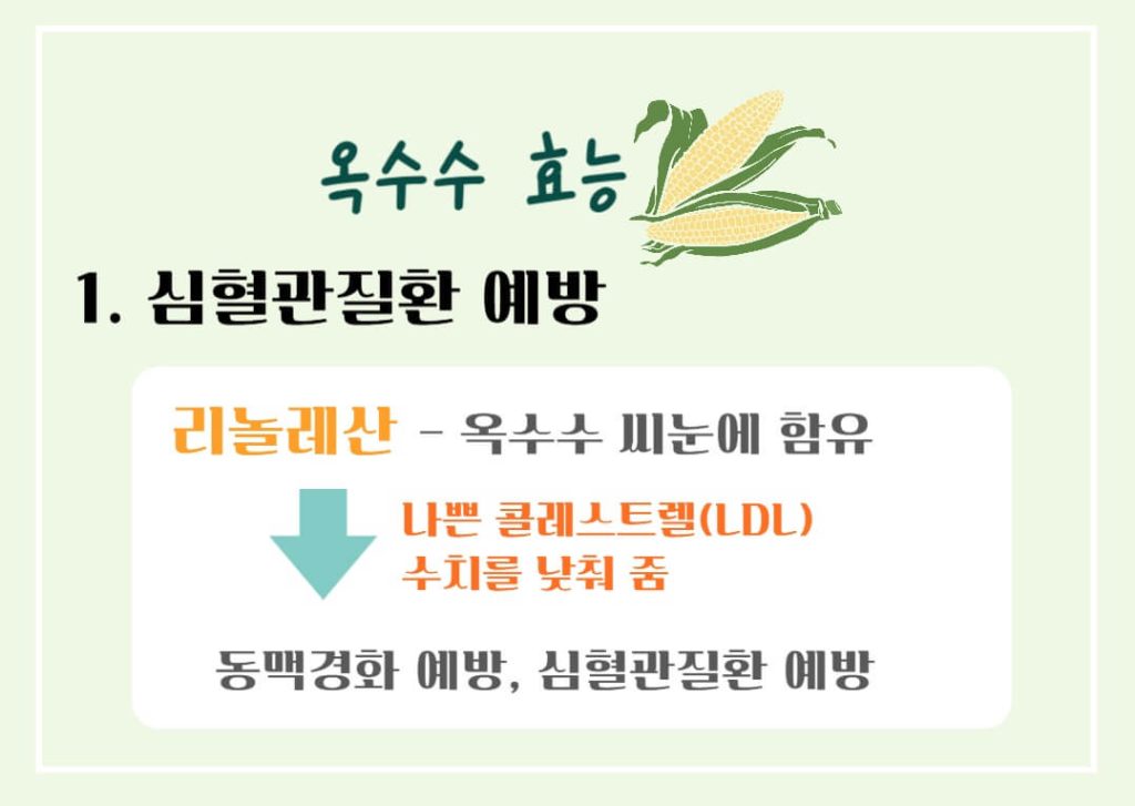 옥수수 효능 칼로리 알아보기 : 세계 3대 작물(feat. 다이어트)
