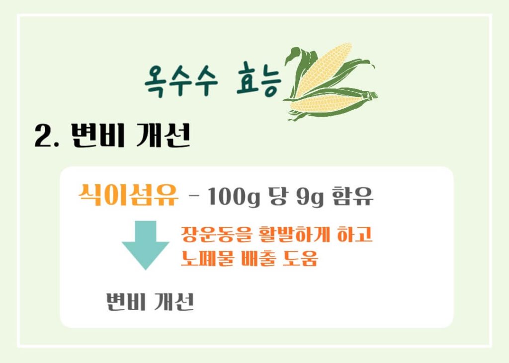 옥수수 효능 칼로리 알아보기 : 세계 3대 작물(feat. 다이어트)