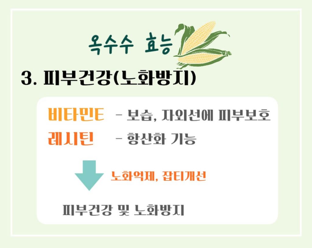 옥수수 효능 칼로리 알아보기 : 세계 3대 작물(feat. 다이어트)