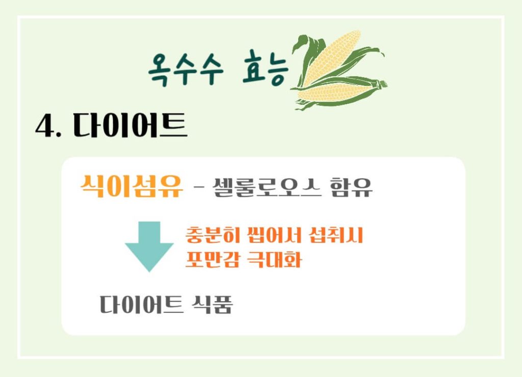 옥수수 효능 칼로리 알아보기 : 세계 3대 작물(feat. 다이어트)