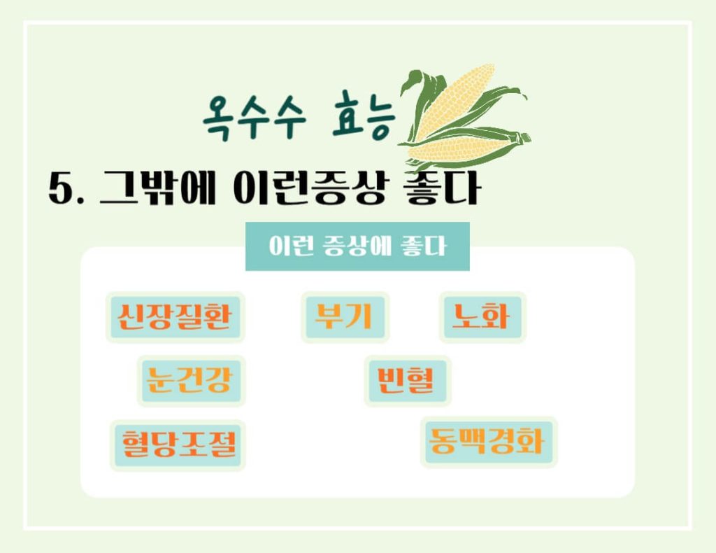 옥수수 효능 칼로리 알아보기 : 세계 3대 작물(feat. 다이어트)