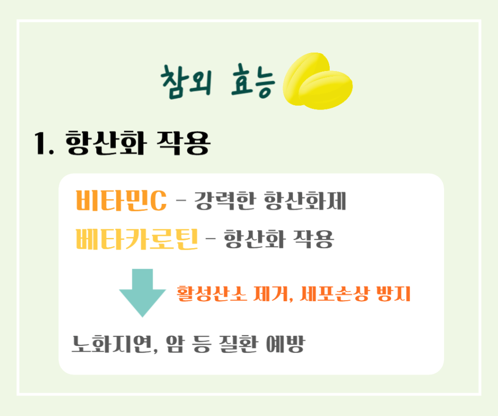 건강매력 참외 효능과 칼로리 : 여름철 최고의 선택!! 노란보석