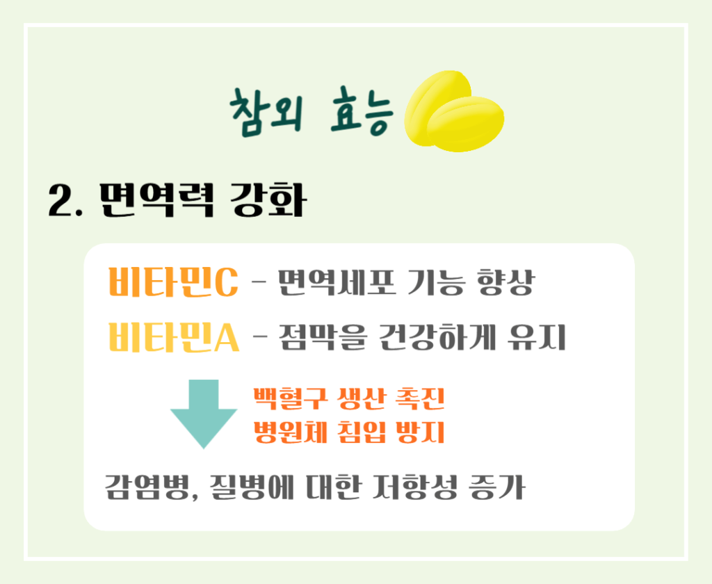 건강매력 참외 효능과 칼로리 : 여름철 최고의 선택!! 노란보석