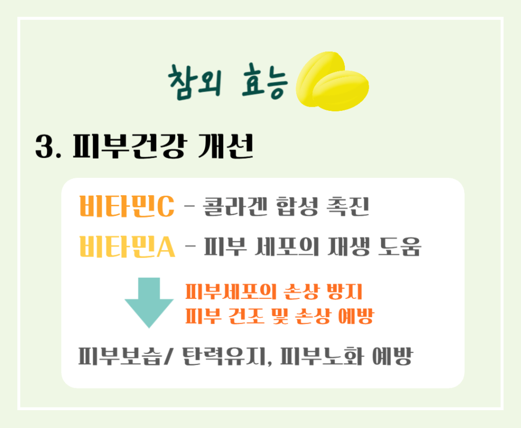 건강매력 참외 효능과 칼로리 : 여름철 최고의 선택!! 노란보석