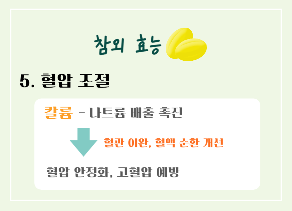 건강매력 참외 효능과 칼로리 : 여름철 최고의 선택!! 노란보석