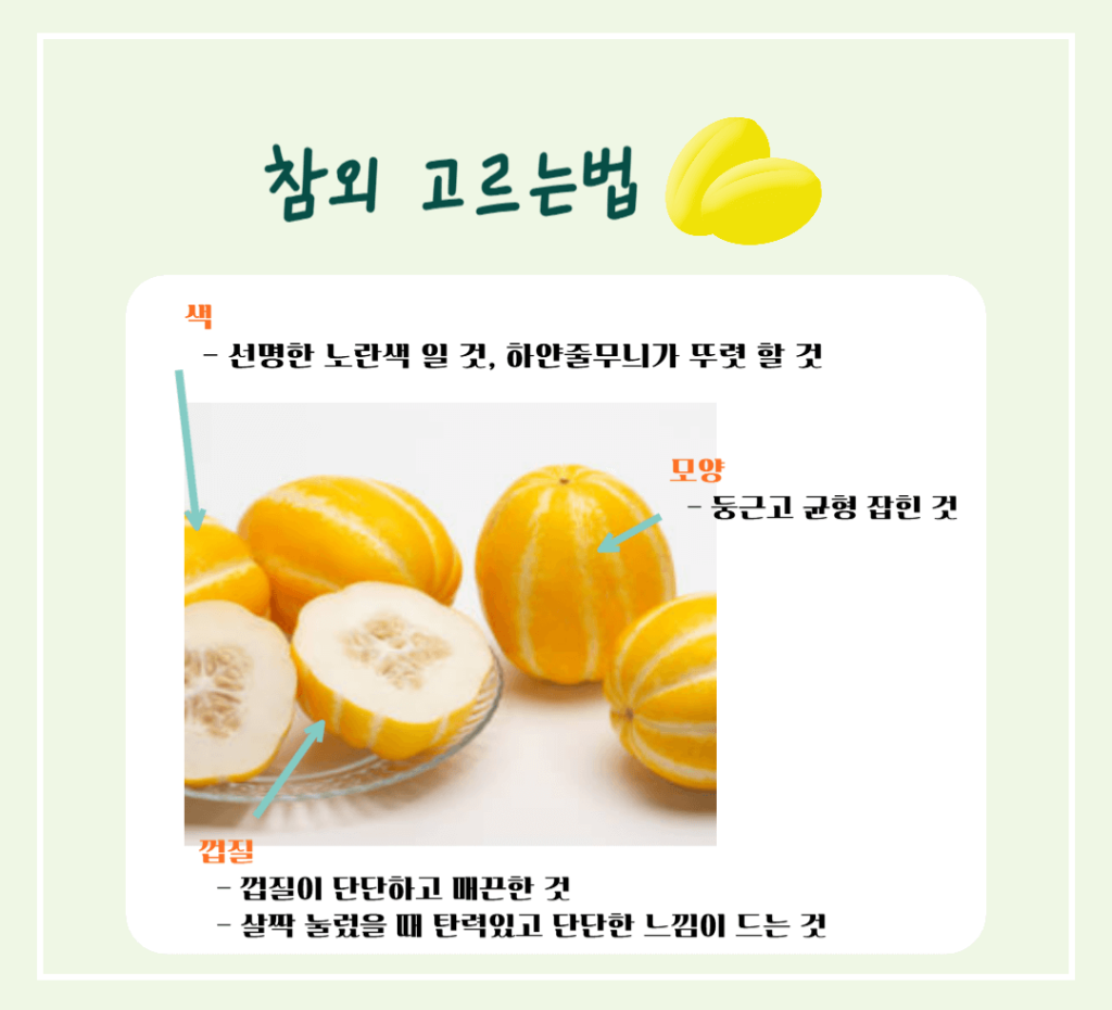 건강매력 참외 효능과 칼로리 : 여름철 최고의 선택!! 노란보석