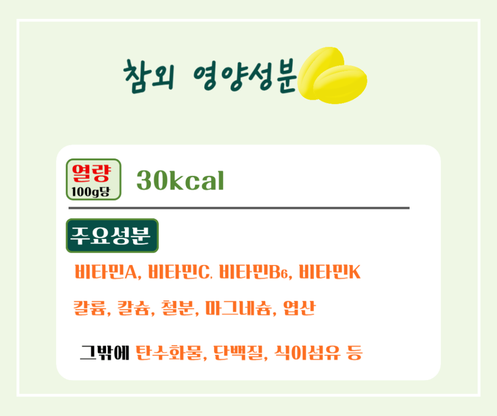 건강매력 참외 효능과 칼로리 : 여름철 최고의 선택!! 노란보석