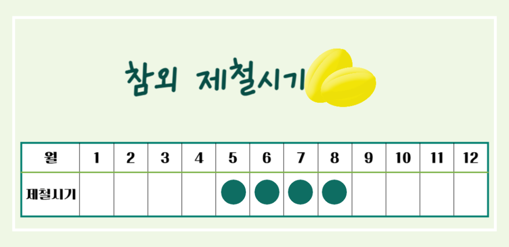 건강매력 참외 효능과 칼로리 : 여름철 최고의 선택!! 노란보석