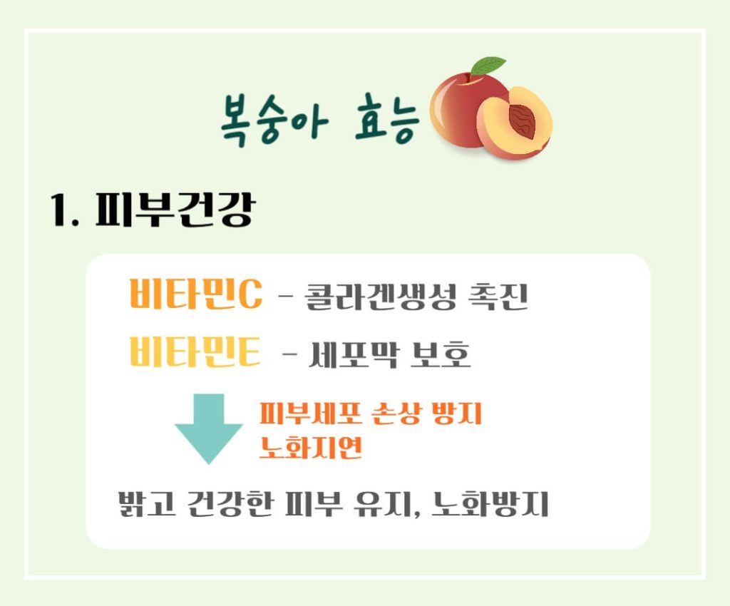 건강한 제철 복숭아의 효능과 칼로리 : 건강을 지키는 여름 과일