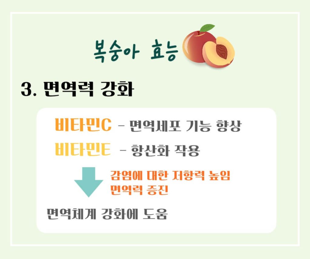 건강한 제철 복숭아의 효능과 칼로리 : 건강을 지키는 여름 과일