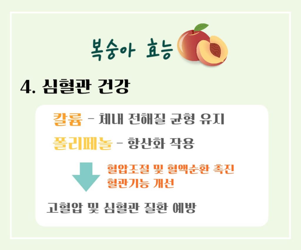 건강한 제철 복숭아의 효능과 칼로리 : 건강을 지키는 여름 과일