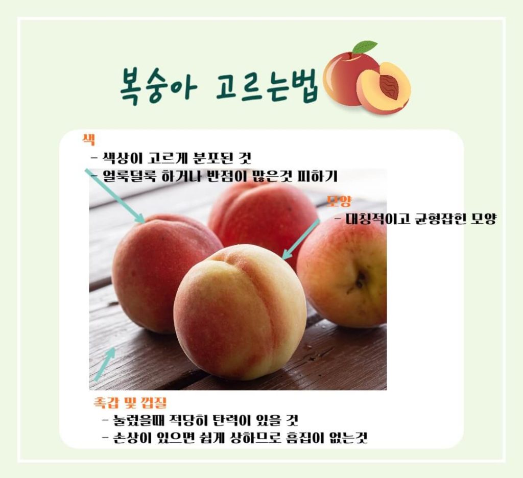 건강한 제철 복숭아의 효능과 칼로리 : 건강을 지키는 여름 과일