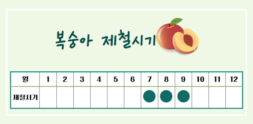 건강한 제철 복숭아의 효능과 칼로리 : 건강을 지키는 여름 과일